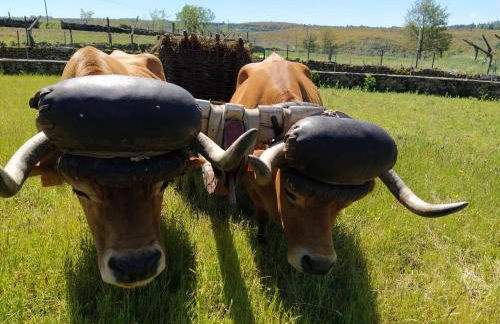 Aldeia de Moura Morta - Foto 2