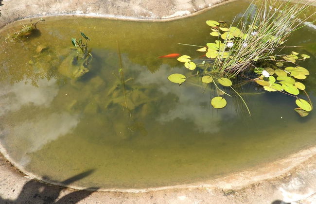 2 Bedroomed Apartment With En-suite and Kitchenette - 2067 - Foto 3