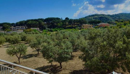 Appartamenti Antico Uliveto - Foto 2