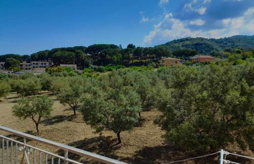 Appartamenti Antico Uliveto - Foto 2