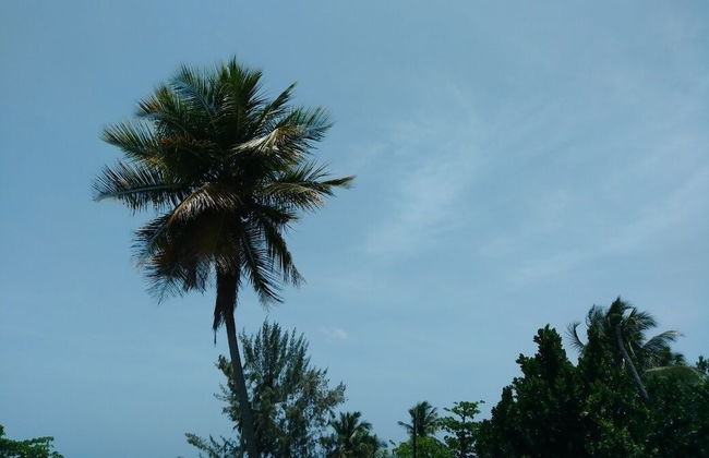 La Cruz de Colon Guest House - Photo 26