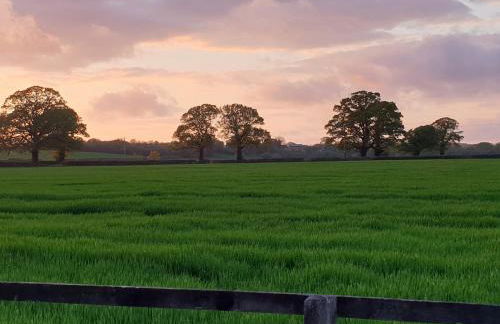 The Old Mill Cottage - Foto 39