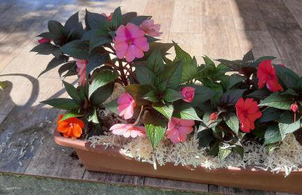 Rancho Esperança, pouso e comida a lenha - Foto 28