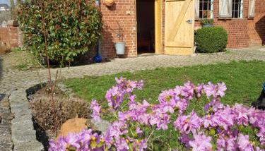 Ferienhaus Vörn-Diek - Foto 4