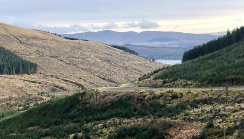 Off Grid 1-bed Cabin, Pets Ok, 20 Mins to Dunoon - Photo 4