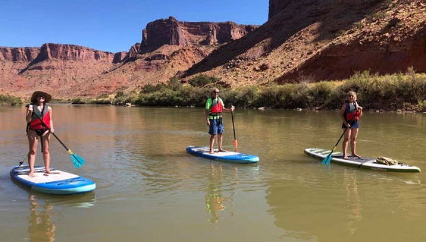 Tenez debout sur les planches