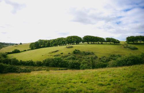 Ta Mill Cottages & Lodges - Meadowview Chalet 1 - Foto 34
