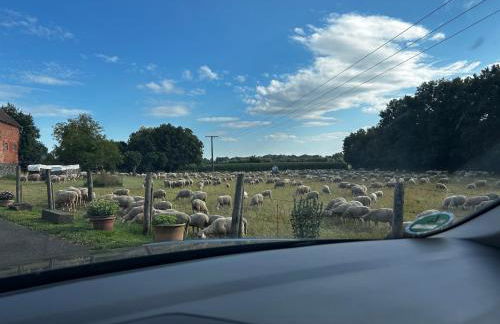 70m2 große Moderne Unterkunft - Foto 32