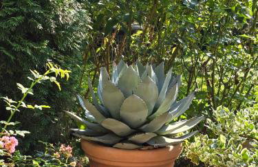 Exklusive Ferienwohnung Bad Salzschlirf - direkt am Waldrand - großer Garten kompett umzäunt - Hunde willkommen - 2 private Stellplätze - Foto 43