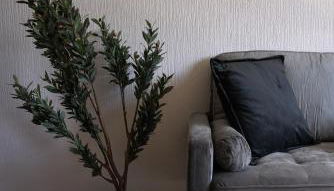 Sauchie House - Foto 5