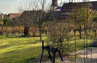 Gite des cigognes - Foto 37