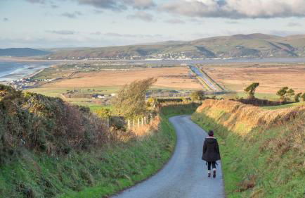 Enlli Fach cabin sleep's 2 adults and 2 children 2 dogs welcome not suitable for contract workers due to parking height restrictions - Photo 36