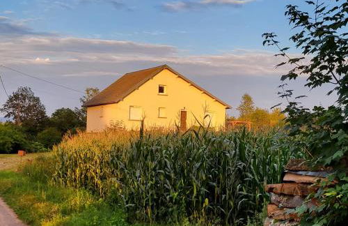Gîte le Haut de la Marche - Foto 28