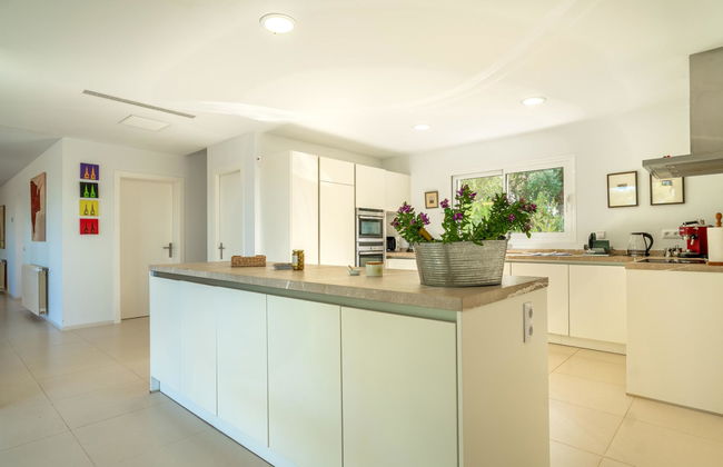 Orquidea 34 - Photo 9