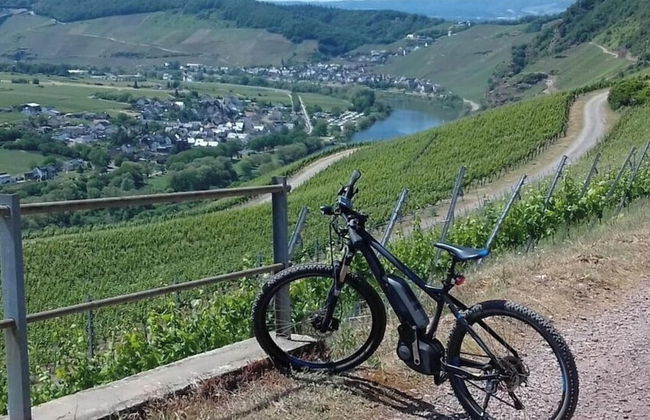 Holiday Apartment Moselle Beach 1 - Foto 8