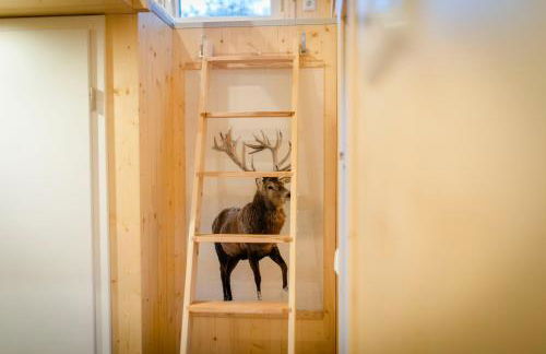 Tiny House - Apfel - Foto 17