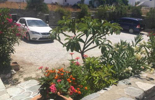 Anna's Studio - Photo 37