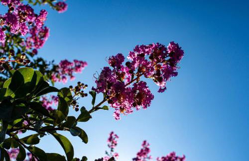 Provence villa with large pool and amazing view - Foto 18