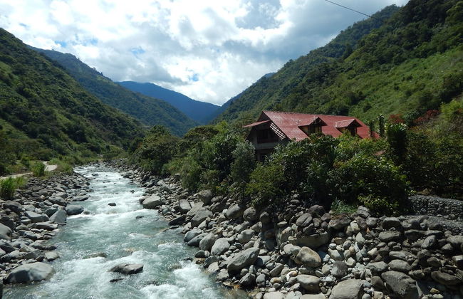 Dogs and Fish Dream Land - Foto 37