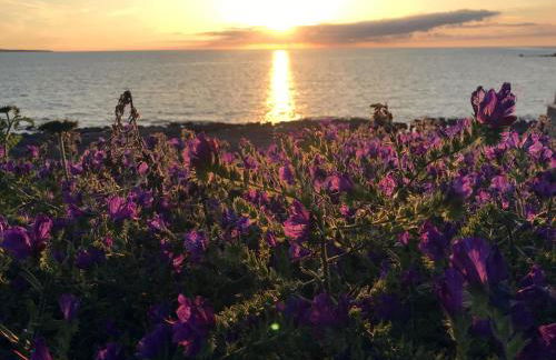 Panoramic Apartments - Foto 45