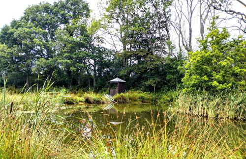 Snug & Secluded Lakeside Shepherds Hut 'Carp' - Foto 20
