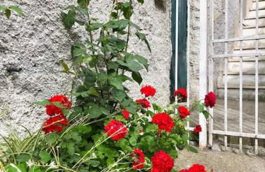 La dolce vita - Foto 2