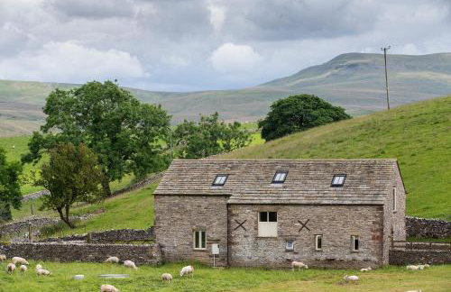 Stay Lambing Live - Photo 1