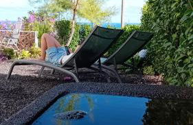 Sunflower Guest House - Madalena - Pico - Photo 38