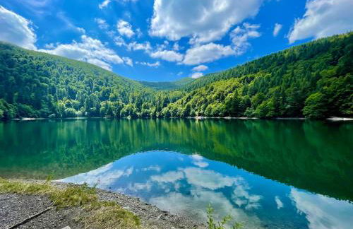 Chalet Des Feignes - Photo 45