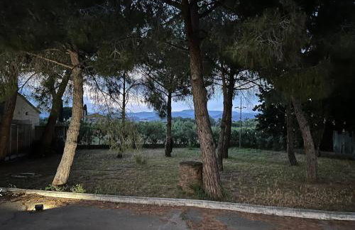 Casa olivar de Riudoms - Foto 14