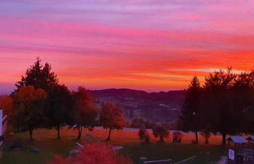 Appartement Honey - Foto 24