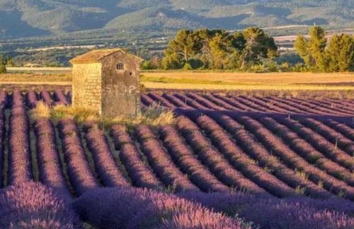 Maison de village avec terrasse - Photo 15