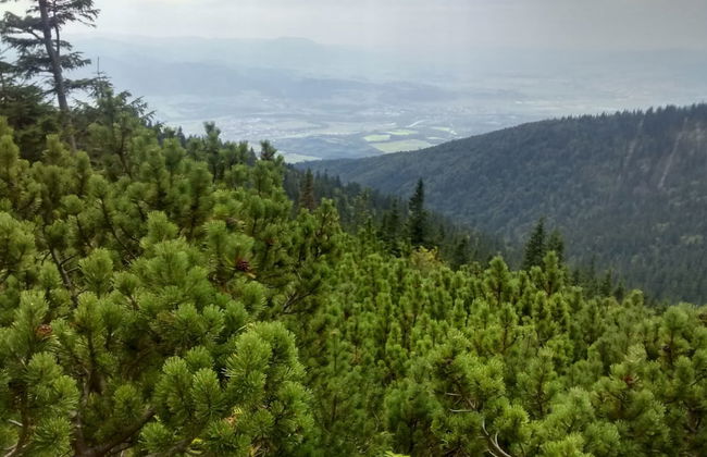 Spacious Hill-view Villa - Foto 23