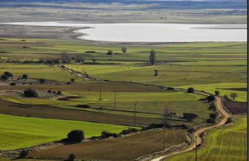 Aromas del Jiloca, la Trufa Negra - Foto 39