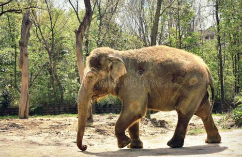 Stargazers' Retreat A Tiny Home on the Riverside - Photo 78