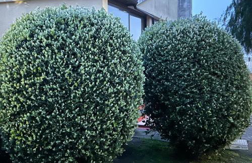 Villa del Sole - Foto 6