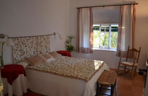 Las Navezuelas - Photo 36