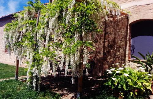 La Fornace di San Galgano - Foto 59