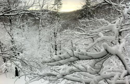 Planinska vikendica LUCIJA - Foto 26