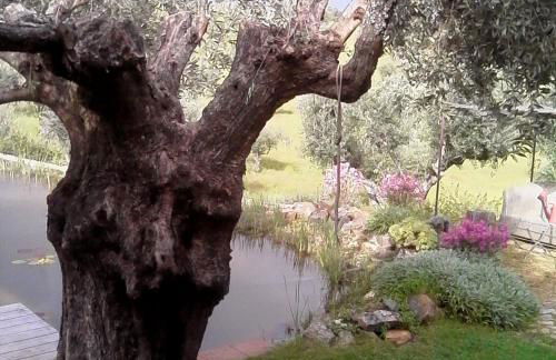 Casa Do Alto Da Eira - Foto 24