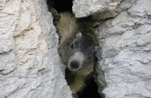 "Le Temps Suspendu" - Foto 63