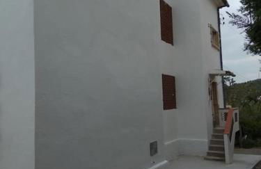 Alt Penedes, terra de vinya, sol, aigua i muntanya - Foto 10