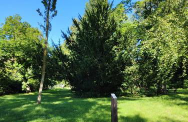 Ferienwohnung zur alten Post - Photo 26