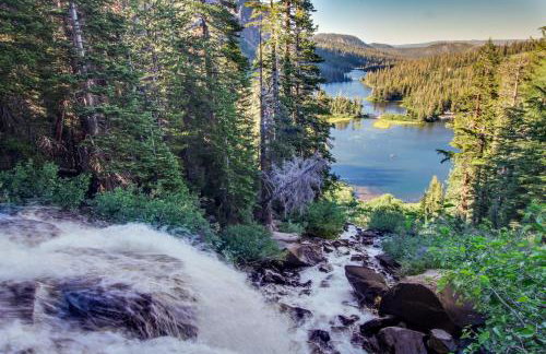 Summit 295 - Photo 14