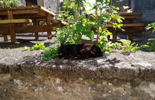 La Maison de Pierre - Foto 29