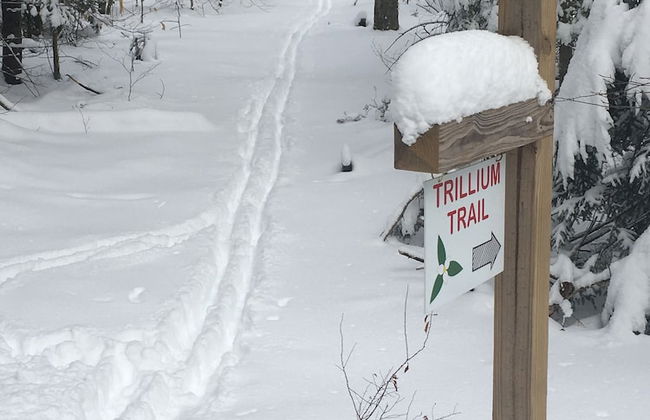 Robert Frost Mountain Cabins - Foto 65
