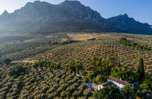 Cortijo Abril - Foto 13