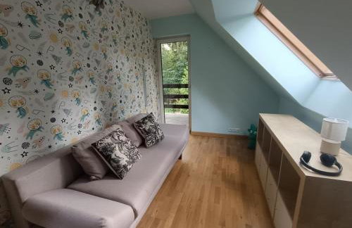 Dom nad Miedwiem, Morzyczyn - Foto 17