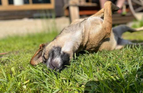 Gierszówka Smak&Relaks - Foto 22