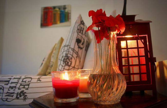 Maltese Maltese - Foto 2